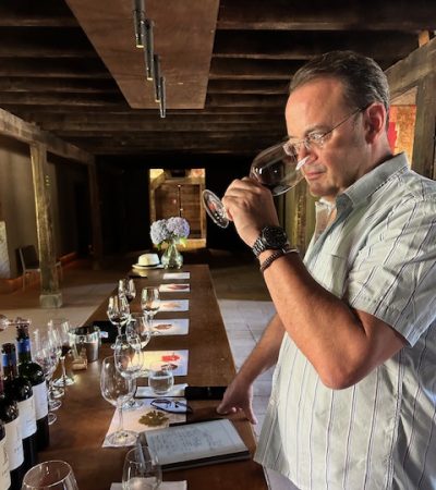 Tim Morgan Sommelier, the VInomad, wine editorial and magazine