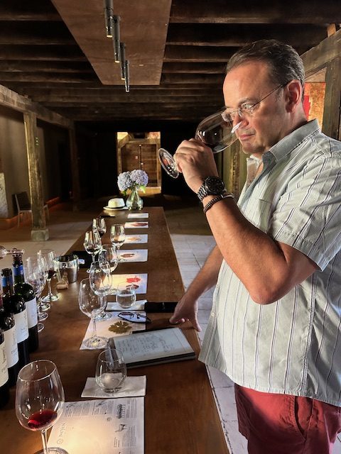 Tim Morgan Sommelier, the VInomad, wine editorial and magazine