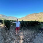 Tim Morgan Sommelier, the VInomad, wine editorial and magazine