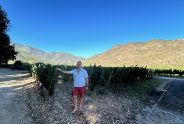 Tim Morgan Sommelier, the VInomad, wine editorial and magazine