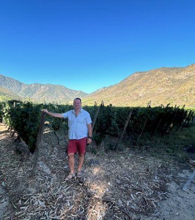 Tim Morgan Sommelier, the VInomad, wine editorial and magazine