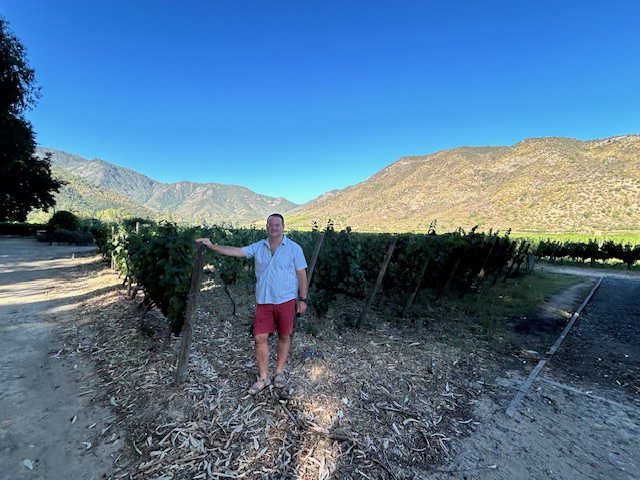 Tim Morgan Sommelier, the VInomad, wine editorial and magazine