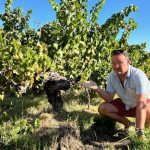 tim Morgan Sommelier, the VInomad, wine editorial and magazine