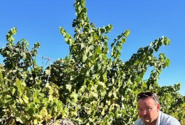 tim Morgan Sommelier, the VInomad, wine editorial and magazine