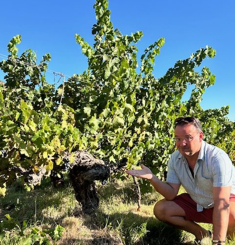 tim Morgan Sommelier, the VInomad, wine editorial and magazine