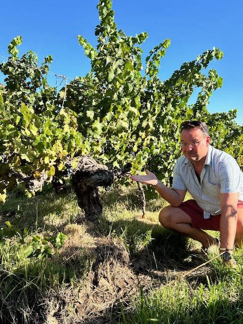 tim Morgan Sommelier, the VInomad, wine editorial and magazine